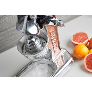 Mexican Citrus Juicer - Large